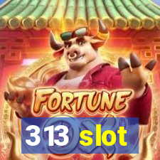 313 slot