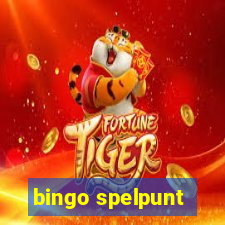 bingo spelpunt