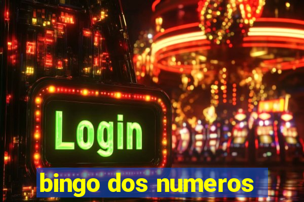 bingo dos numeros