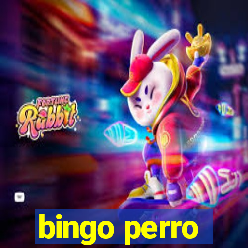 bingo perro