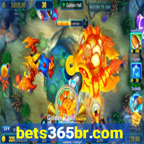 bets365br.com