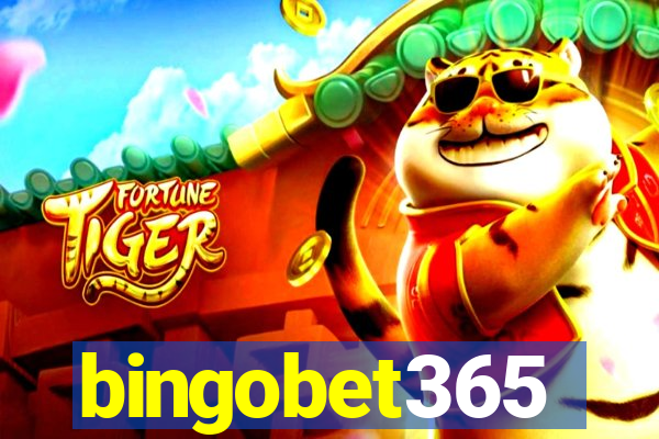 bingobet365