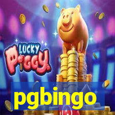 pgbingo