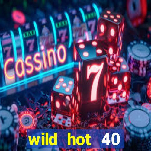 wild hot 40 christmas slot