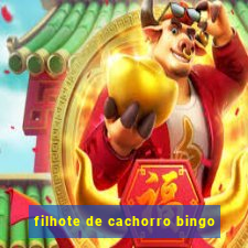 filhote de cachorro bingo