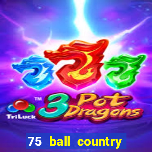 75 ball country road bingo