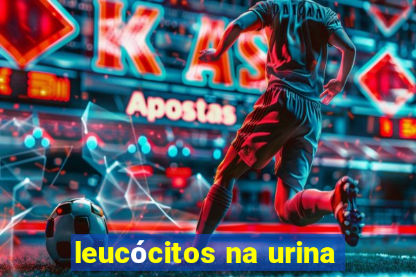 leucócitos na urina